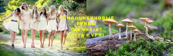 ГАЛЛЮЦИНОГЕННЫЕ ГРИБЫ Алзамай