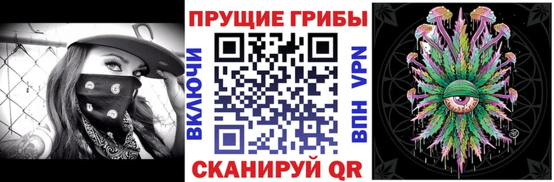MEGA ССЫЛКА  купить наркотики сайты  Бабаево  Галлюциногенные грибы прущие грибы 